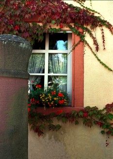 Windows