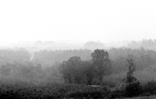 Misty Holland