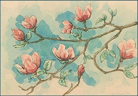 Blossom