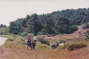Dunes and heather against the sea