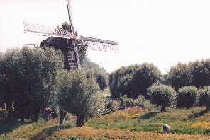 Windmill along the river near Zuilichem