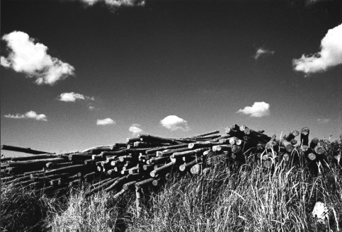 Objects in Black & White