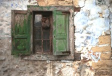 Green Shutters