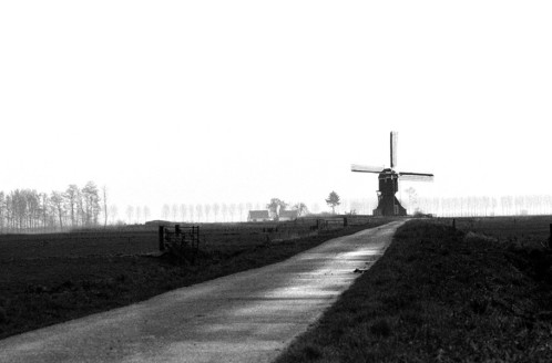 Low Lands