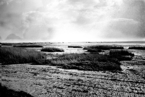 Low Lands