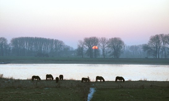 River County