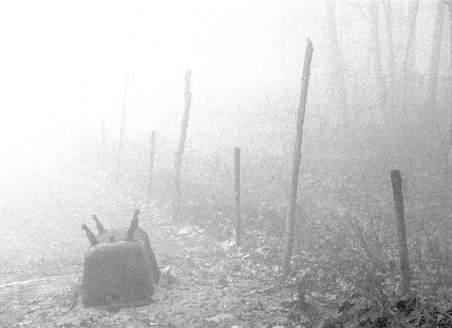 Misty Holland